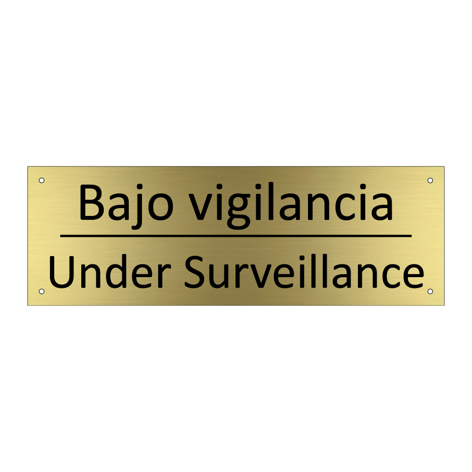 Bajo vigilancia - Under Surveillance