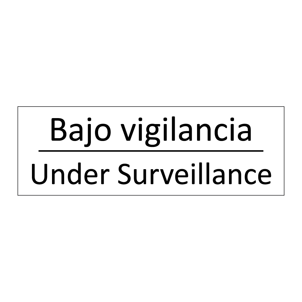 Bajo vigilancia - Under Surveillance