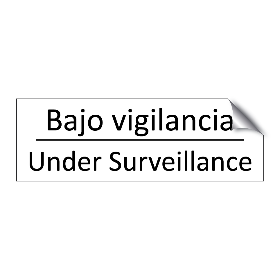 Bajo vigilancia - Under Surveillance