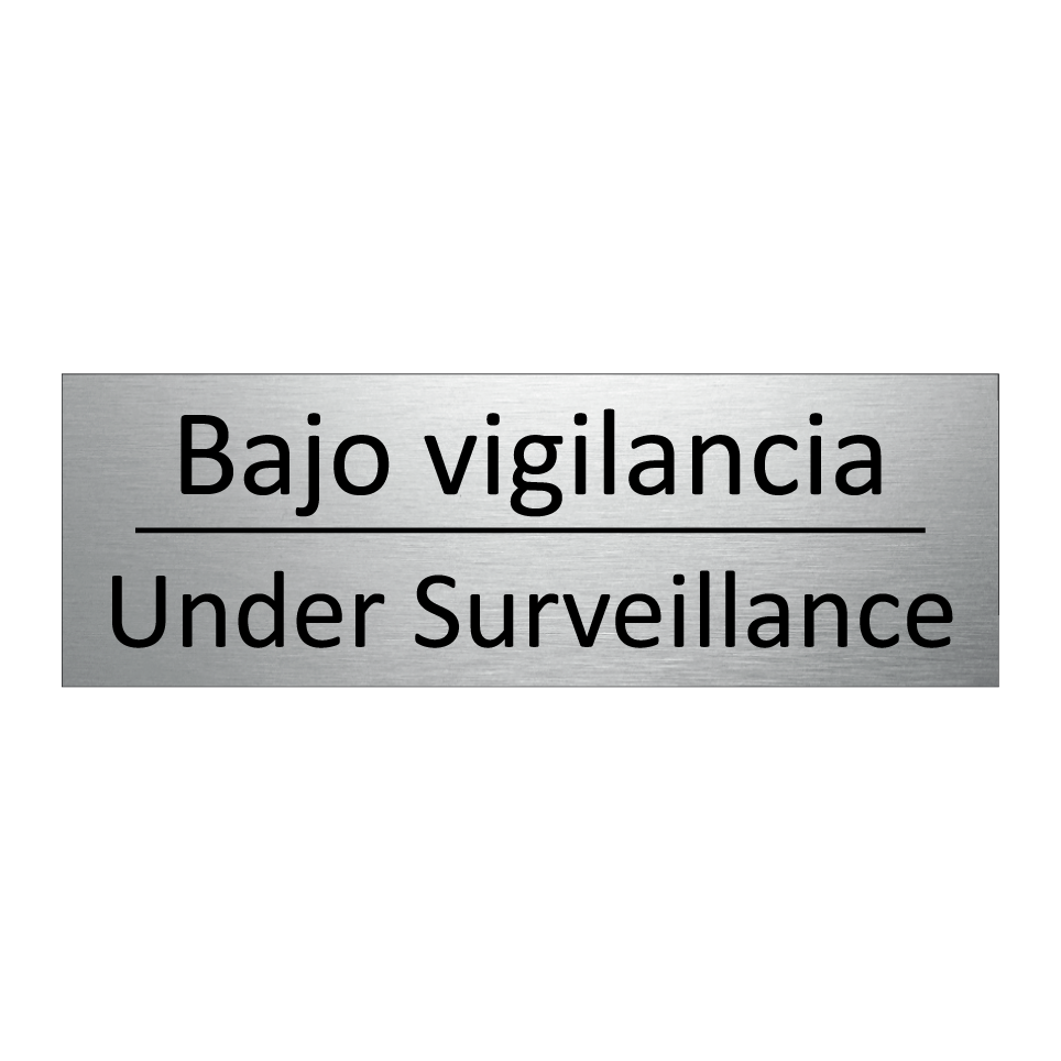 Bajo vigilancia - Under Surveillance