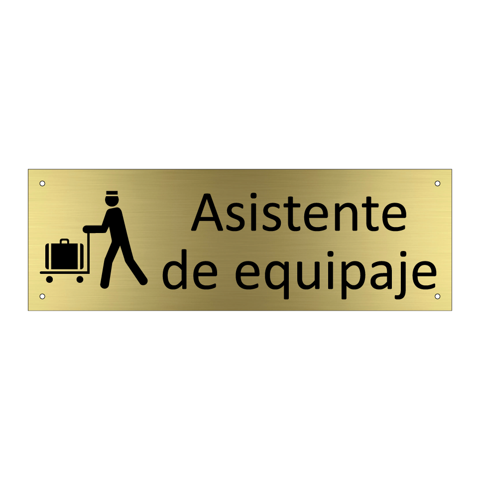 Asistente de equipaje