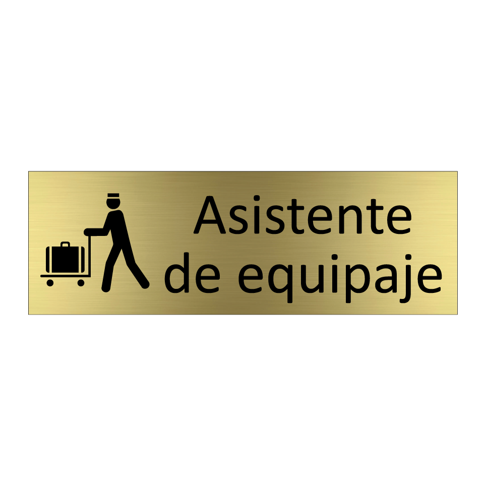 Asistente de equipaje