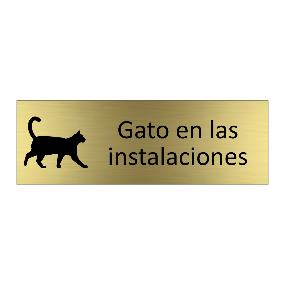 Gato en las instalaciones