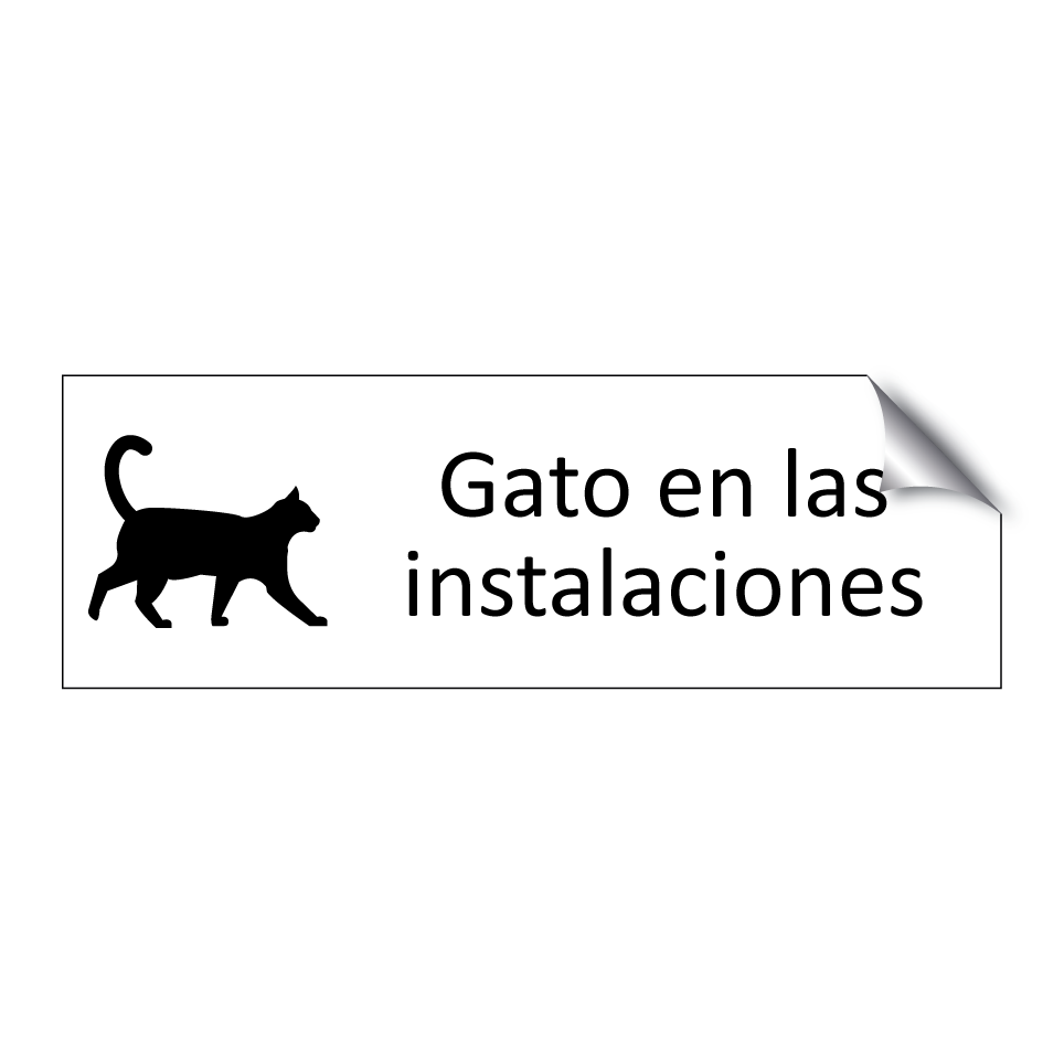 Gato en las instalaciones