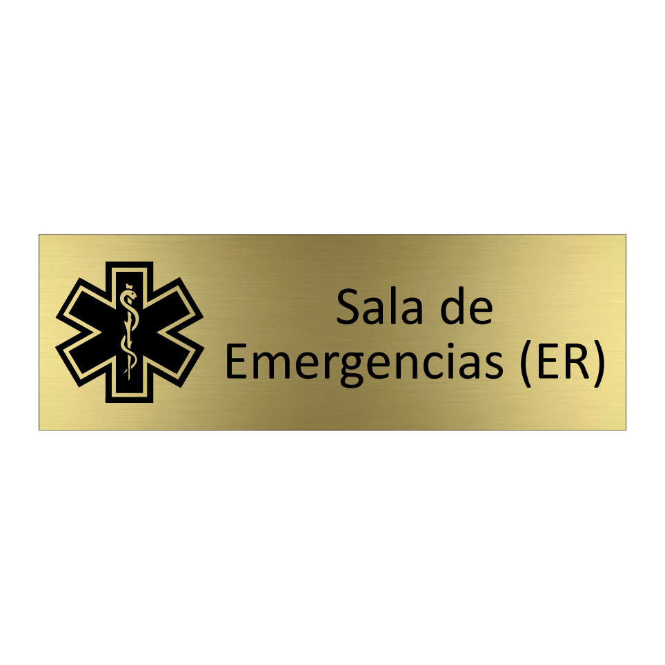 Sala de Emergencias (ER)