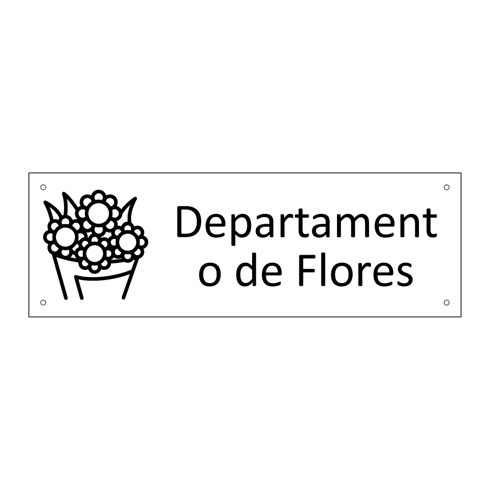Departamento de Flores