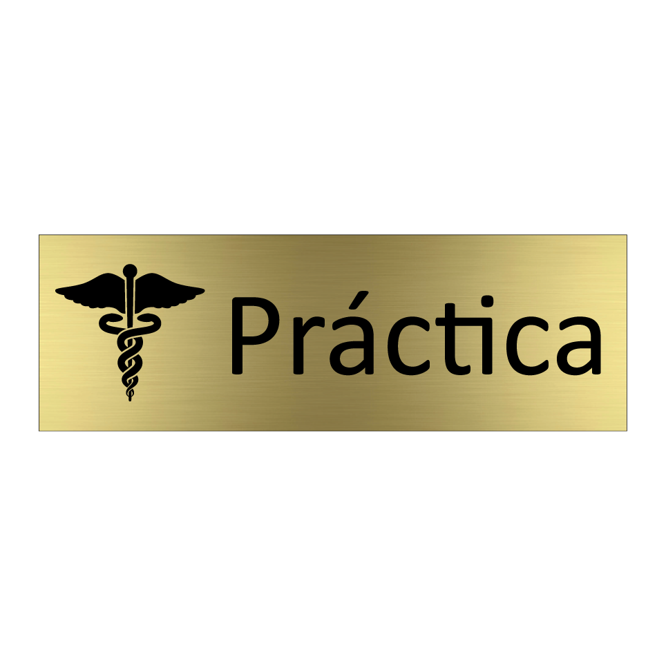 Práctica
