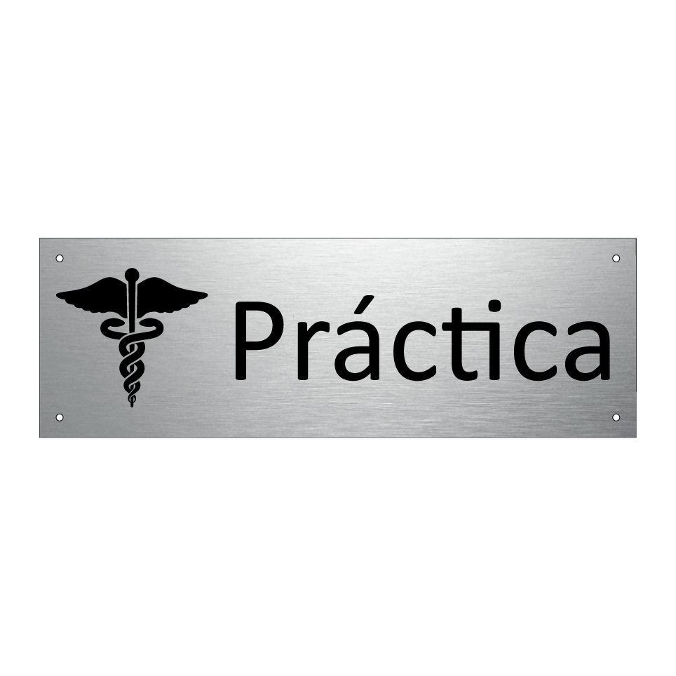 Práctica