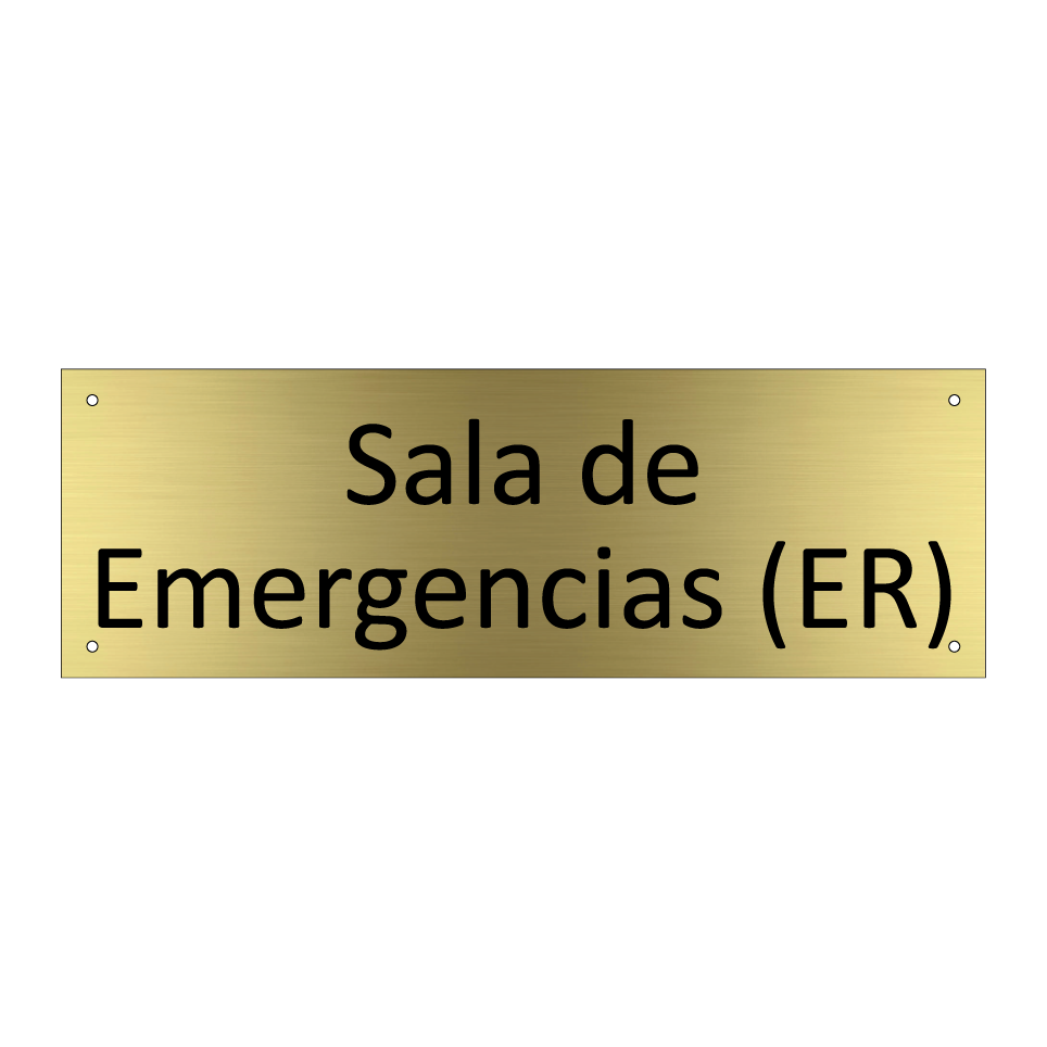 Sala de Emergencias (ER)