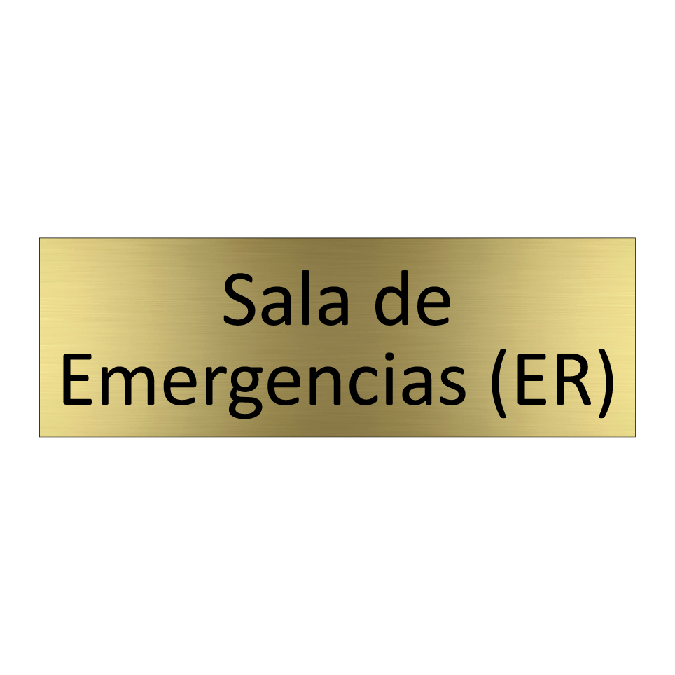 Sala de Emergencias (ER)