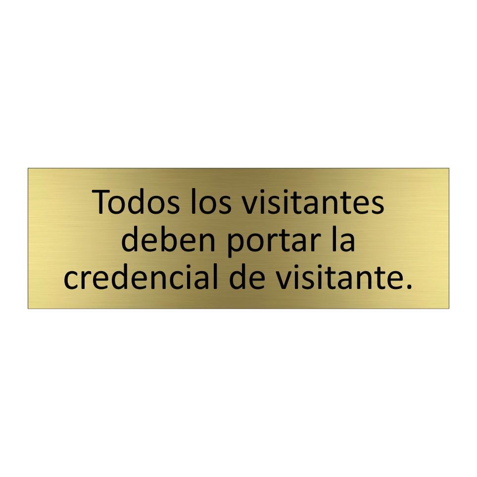 Todos los visitantes deben portar la credencial de visitante.
