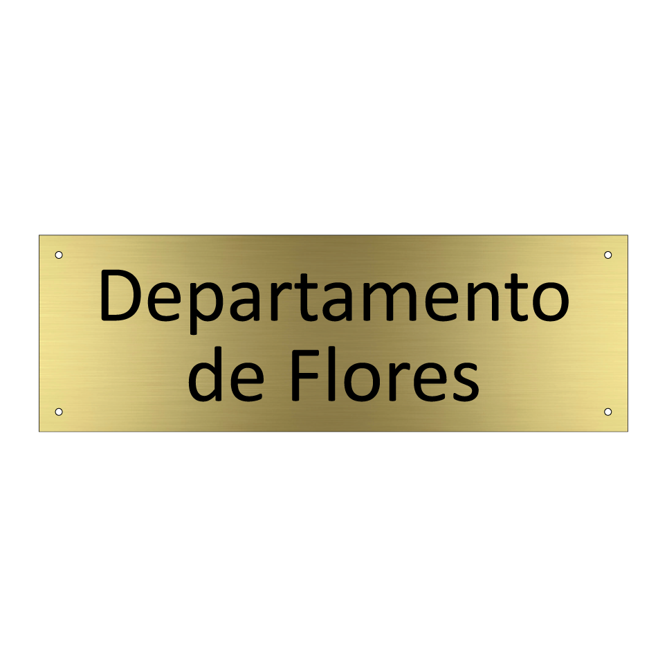 Departamento de Flores
