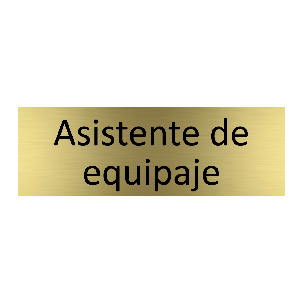 Asistente de equipaje