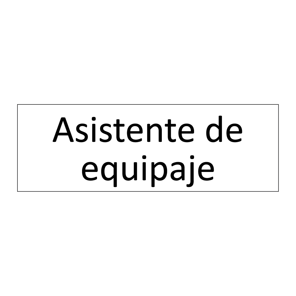 Asistente de equipaje