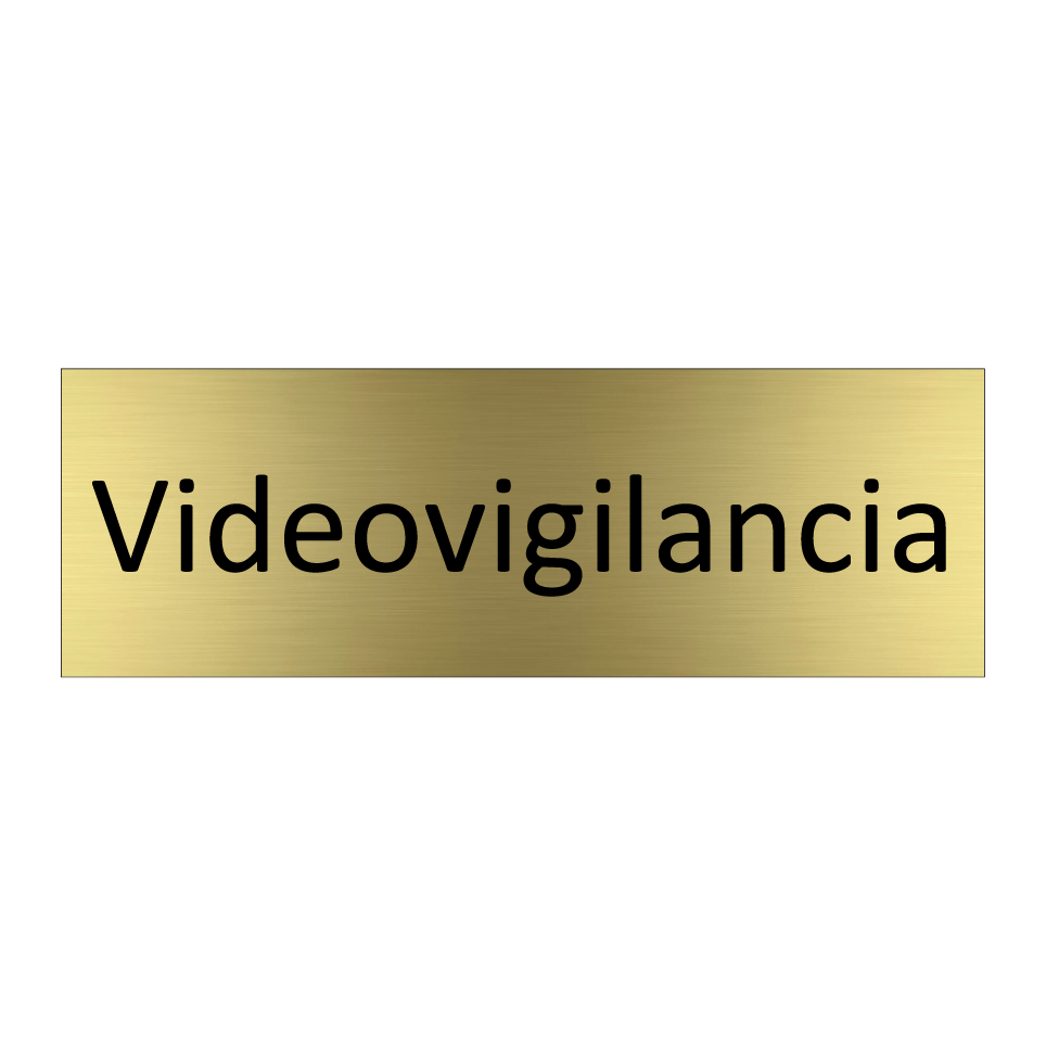 Videovigilancia