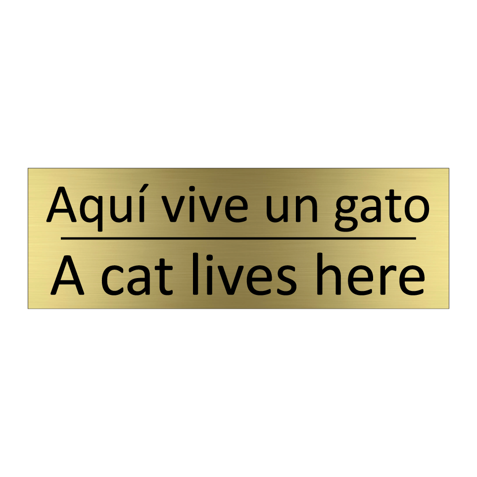 Aquí vive un gato - A cat lives here