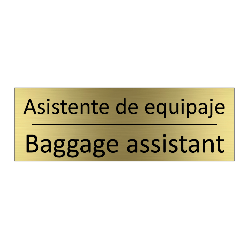 Asistente de equipaje - Baggage assistant