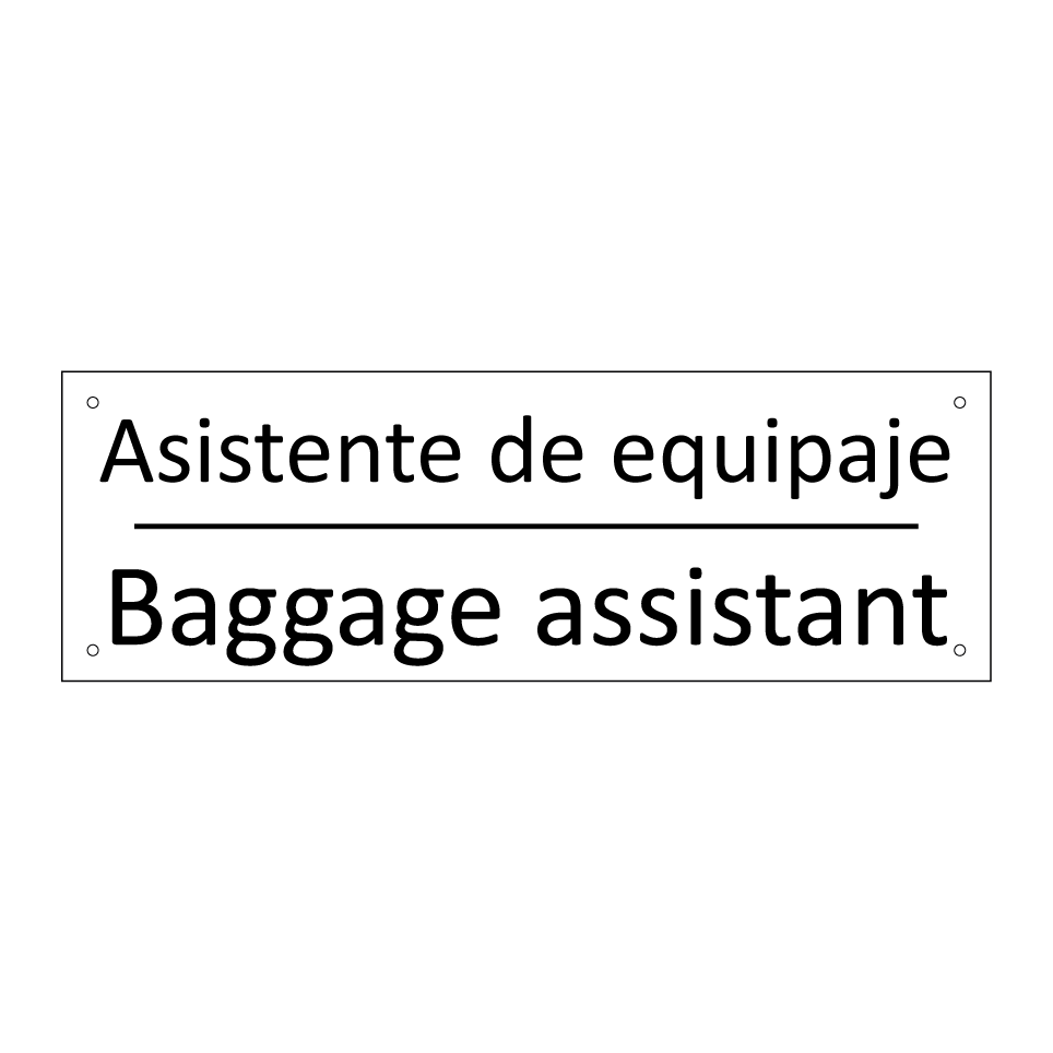 Asistente de equipaje - Baggage assistant