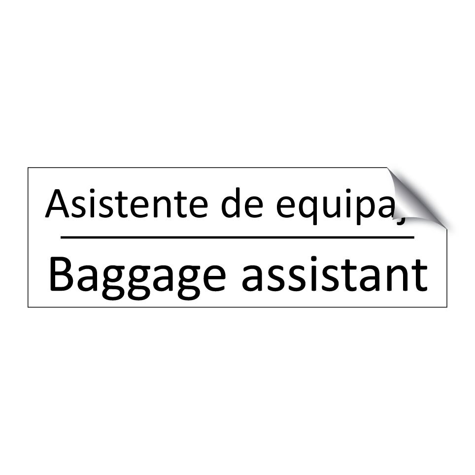 Asistente de equipaje - Baggage assistant
