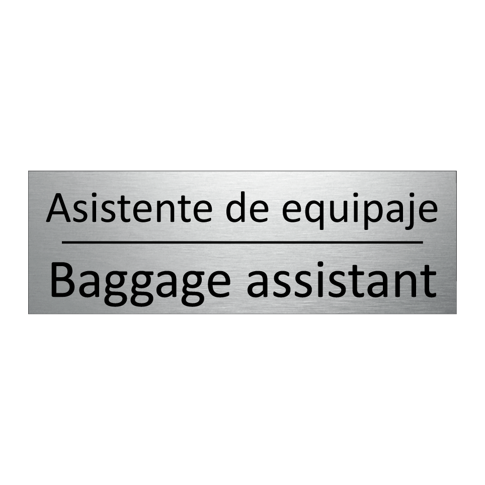 Asistente de equipaje - Baggage assistant