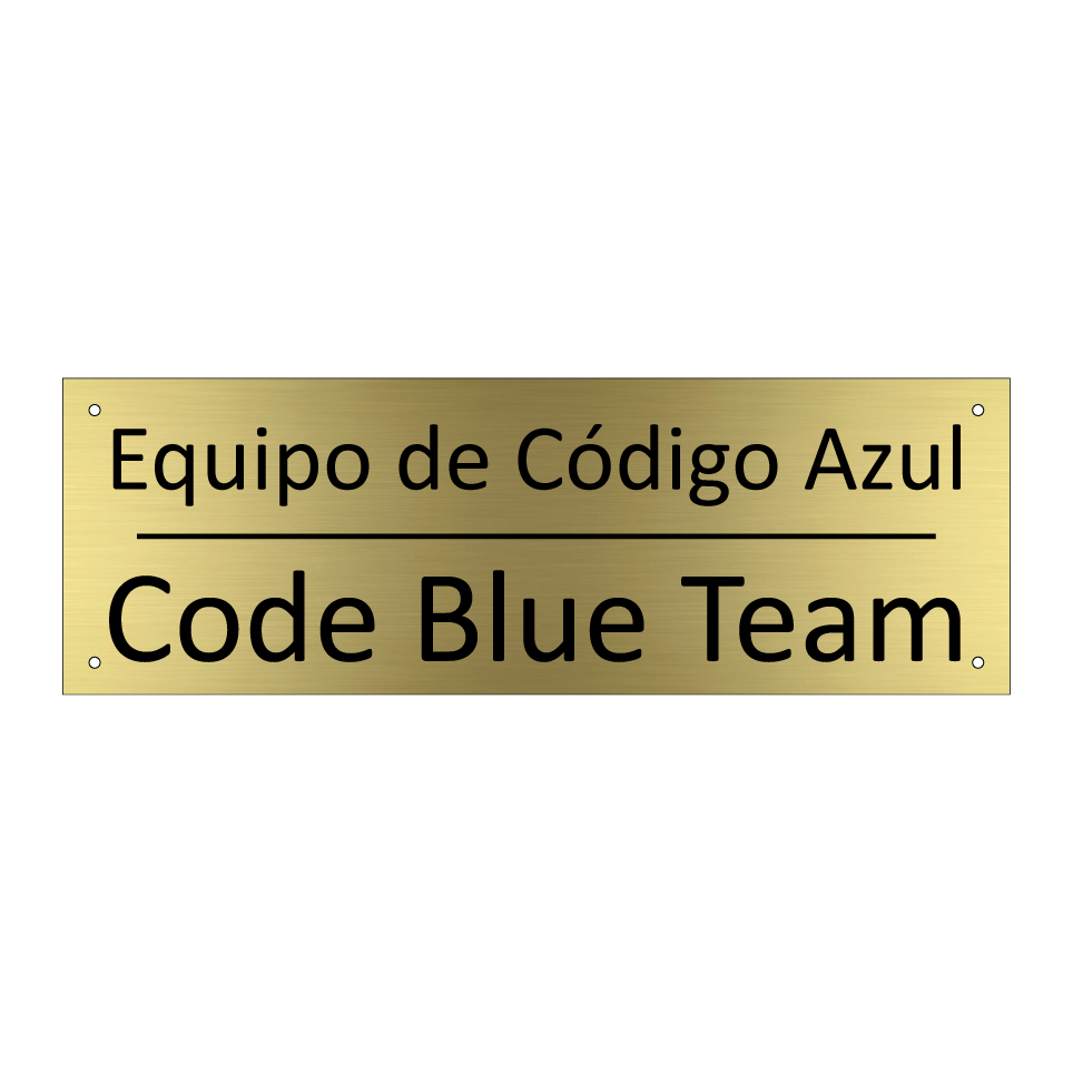 Equipo de Código Azul - Code Blue Team