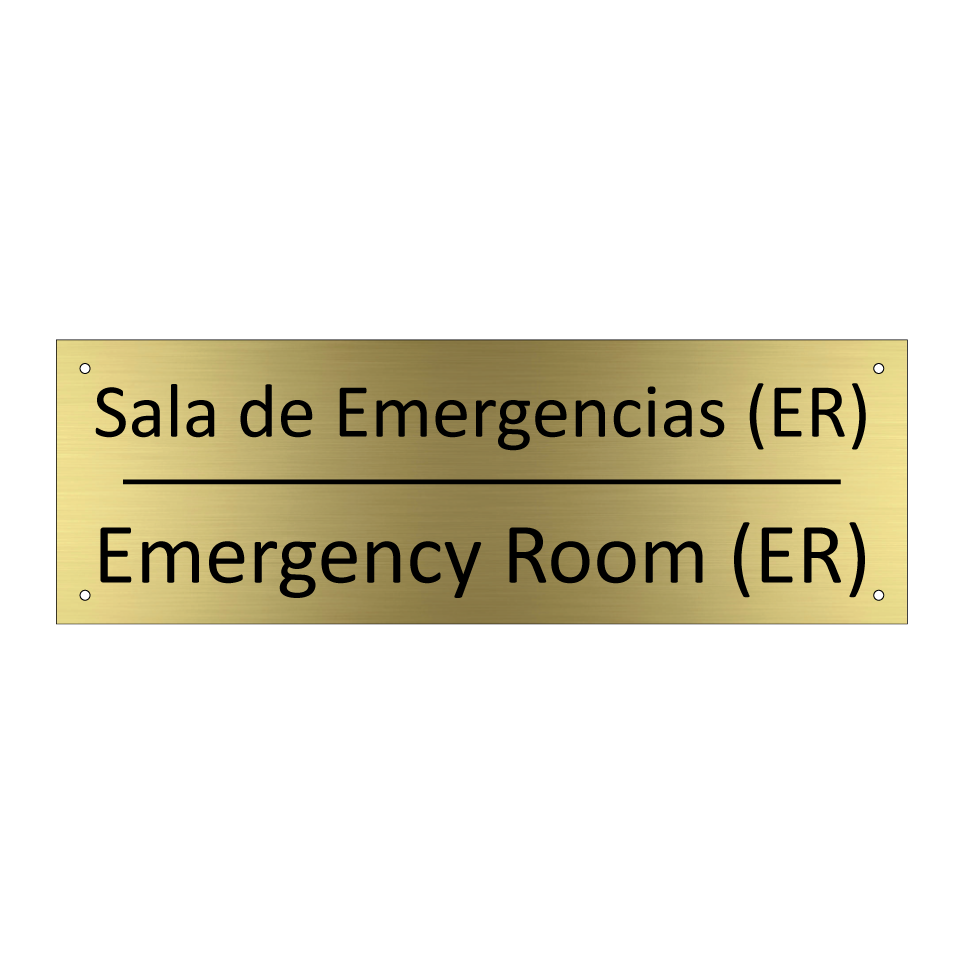 Sala de Emergencias (ER) - Emergency Room (ER)