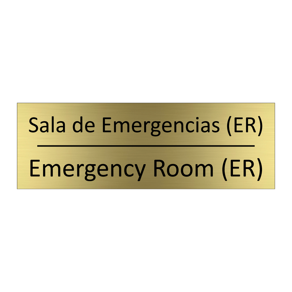 Sala de Emergencias (ER) - Emergency Room (ER)