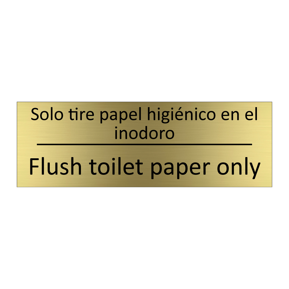 Solo tire papel higiénico en /.../ - Flush toilet paper only