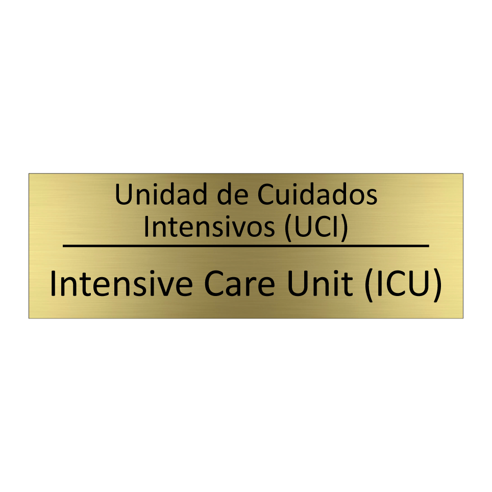 Unidad de Cuidados Intensivos /.../ - Intensive Care Unit (ICU)
