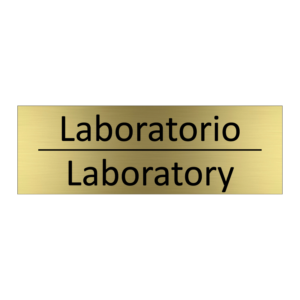 Laboratorio - Laboratory