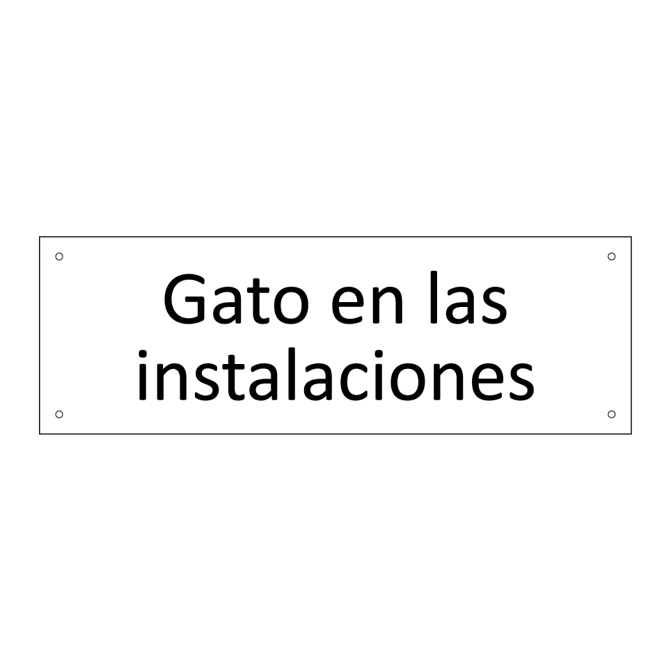 Gato en las instalaciones