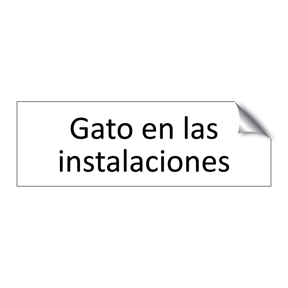 Gato en las instalaciones