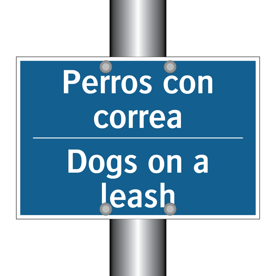 Perros con correa - Dogs on a leash