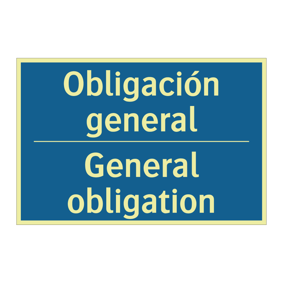 Obligación general - General obligation