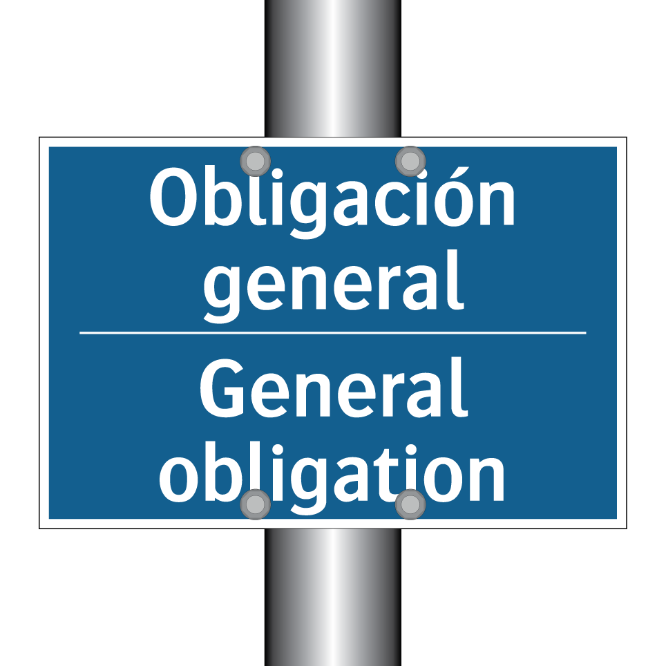 Obligación general - General obligation