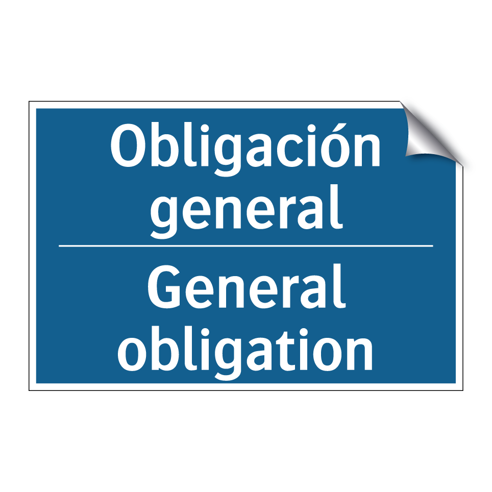 Obligación general - General obligation