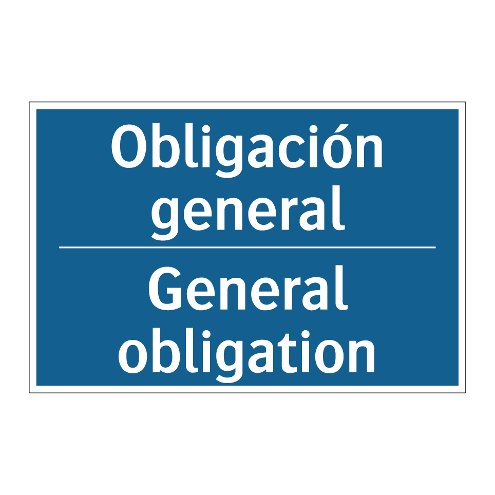 Obligación general - General obligation