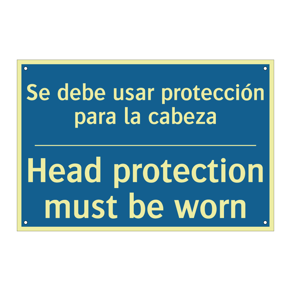 Se debe usar protección para la  /.../ - Head protection must be worn