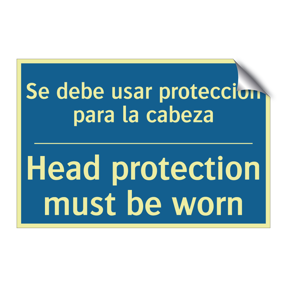 Se debe usar protección para la  /.../ - Head protection must be worn