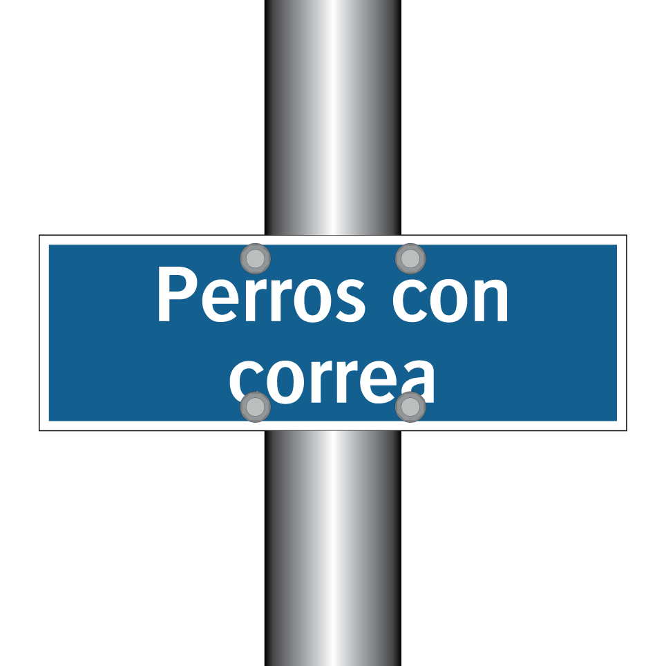 Perros con correa