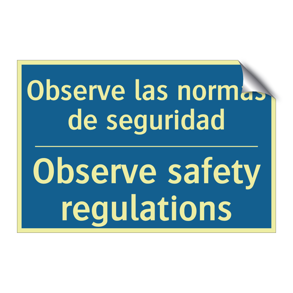 Observe las normas de seguridad /.../ - Observe safety regulations