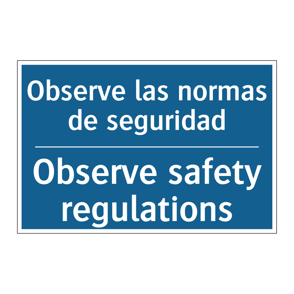 Observe las normas de seguridad /.../ - Observe safety regulations