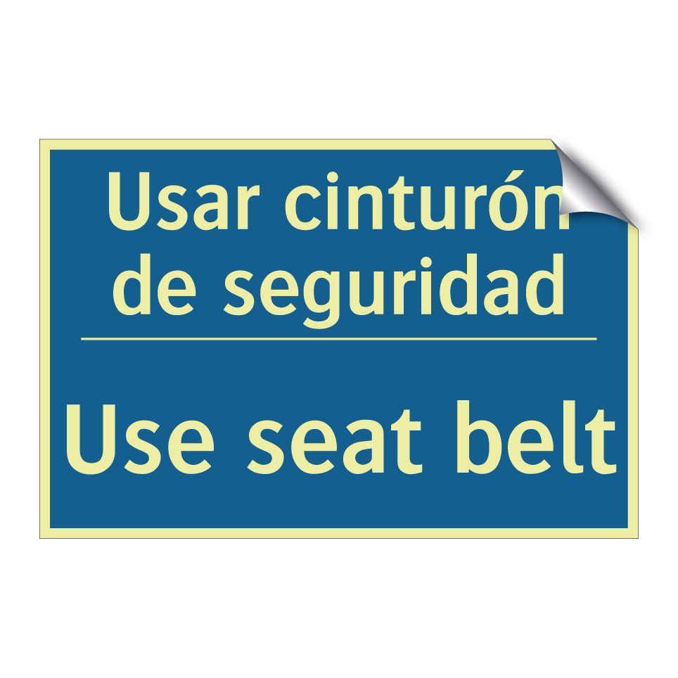 Usar cinturón de seguridad - Use seat belt