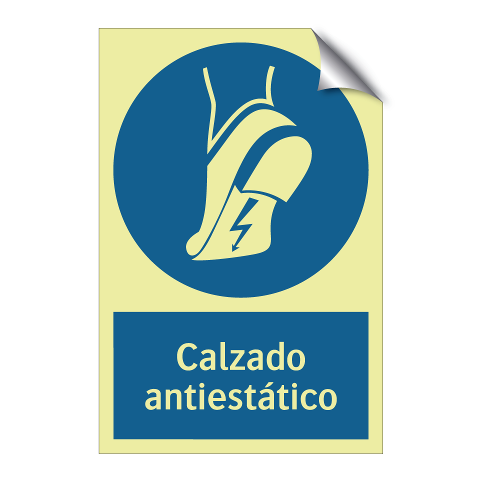 Calzado antiestático