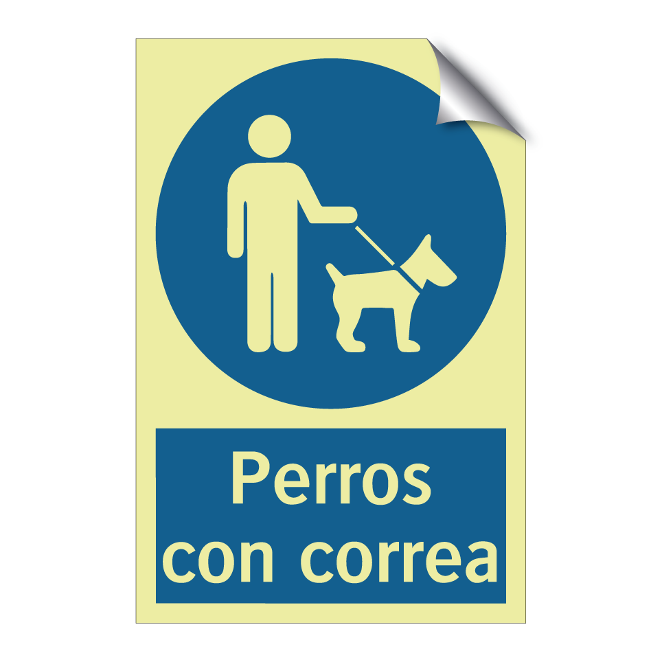 Perros con correa