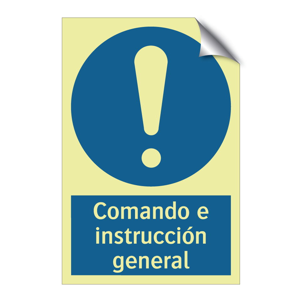 Comando e instrucción general