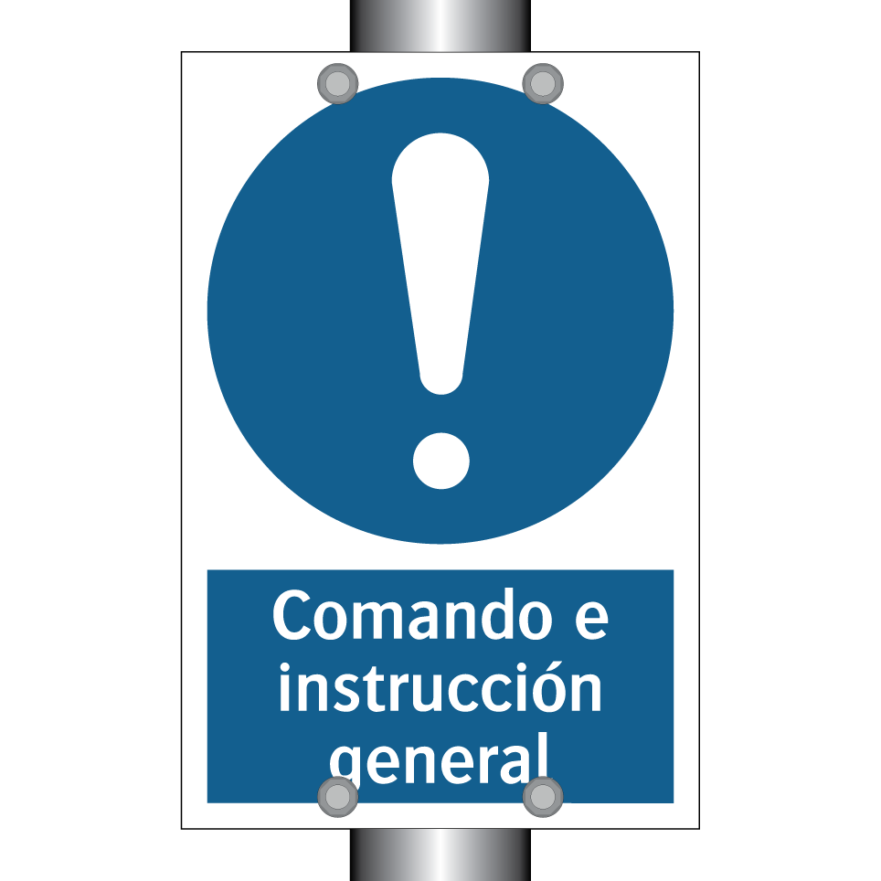 Comando e instrucción general
