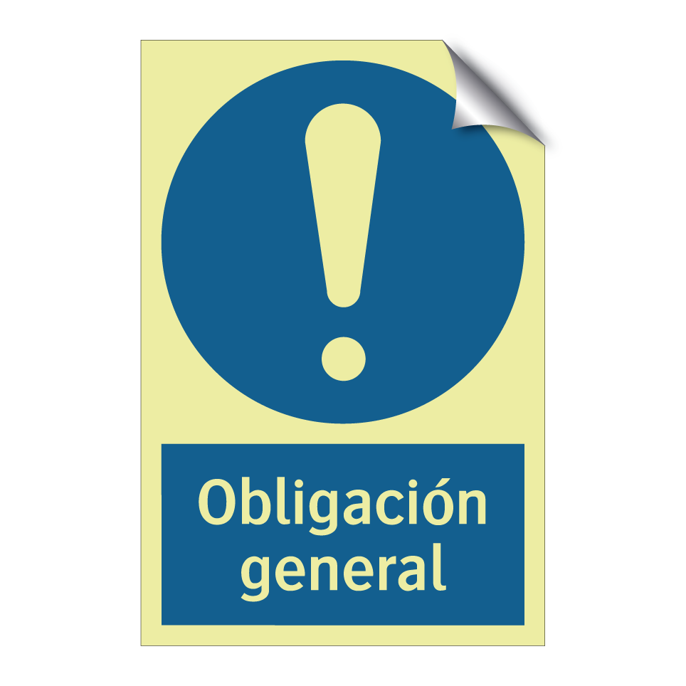 Obligación general