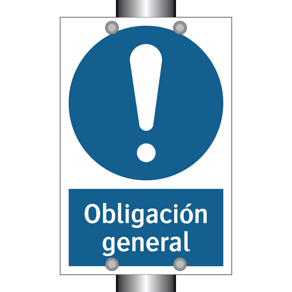 Obligación general