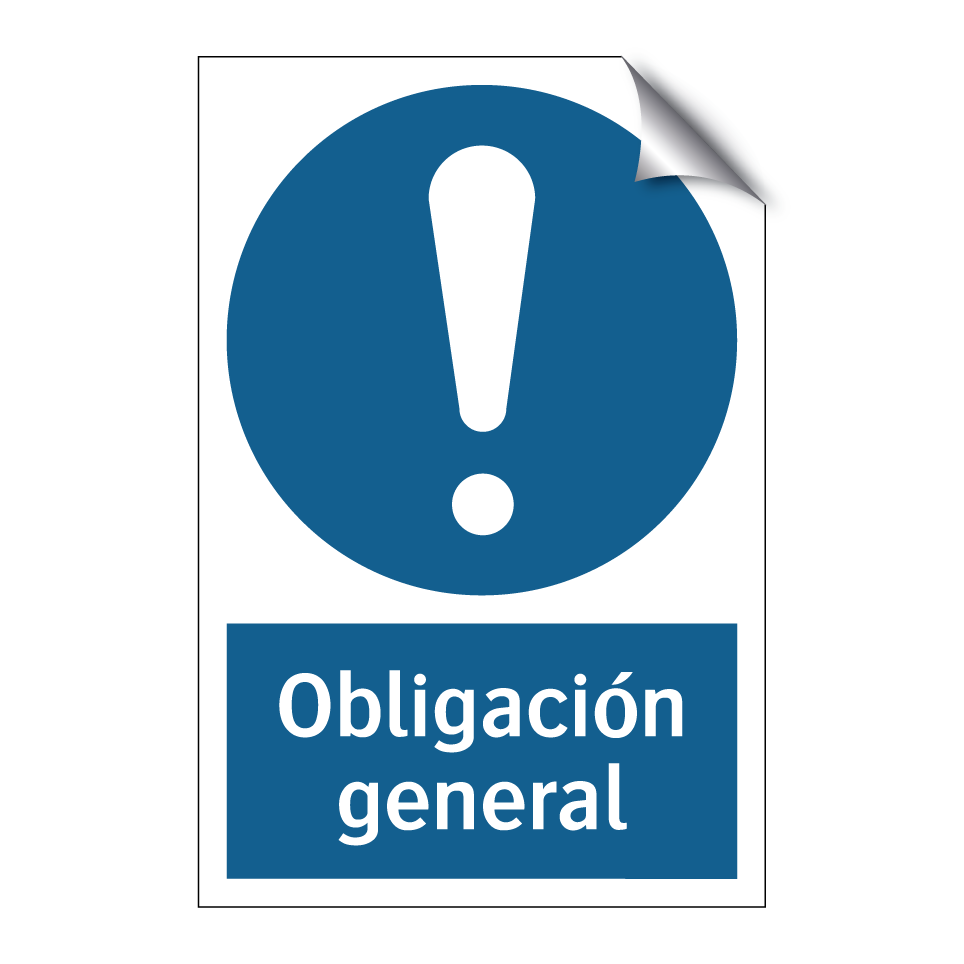 Obligación general